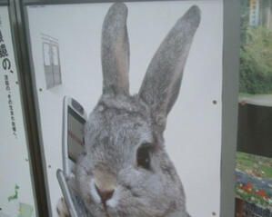 IMPORTANT INFO ABOUT ME