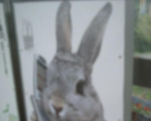 IMPORTANT INFO ABOUT ME