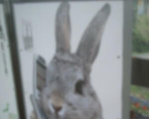 LIST OF THINGS AND ARTISTS I LIKE